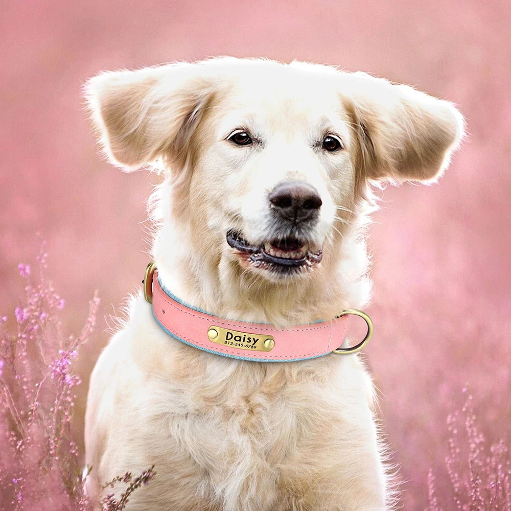 Customized PU Leather Nameplate Dog Collar