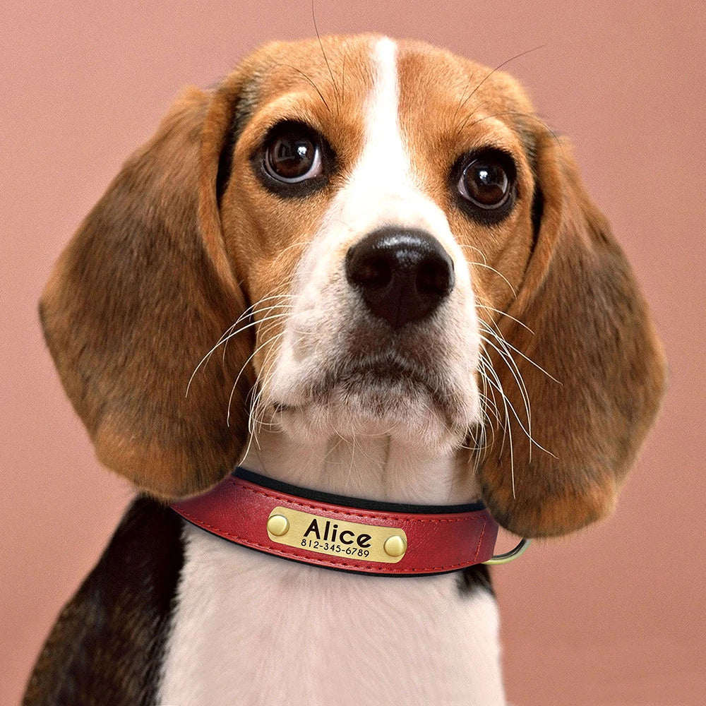 Customized PU Leather Nameplate Dog Collar