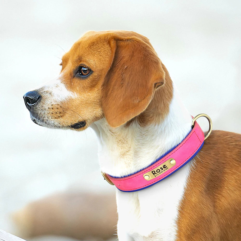 Customized PU Leather Nameplate Dog Collar