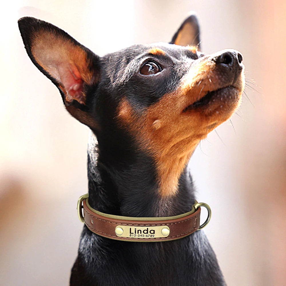 Customized PU Leather Nameplate Dog Collar