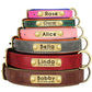 Customized PU Leather Nameplate Dog Collar