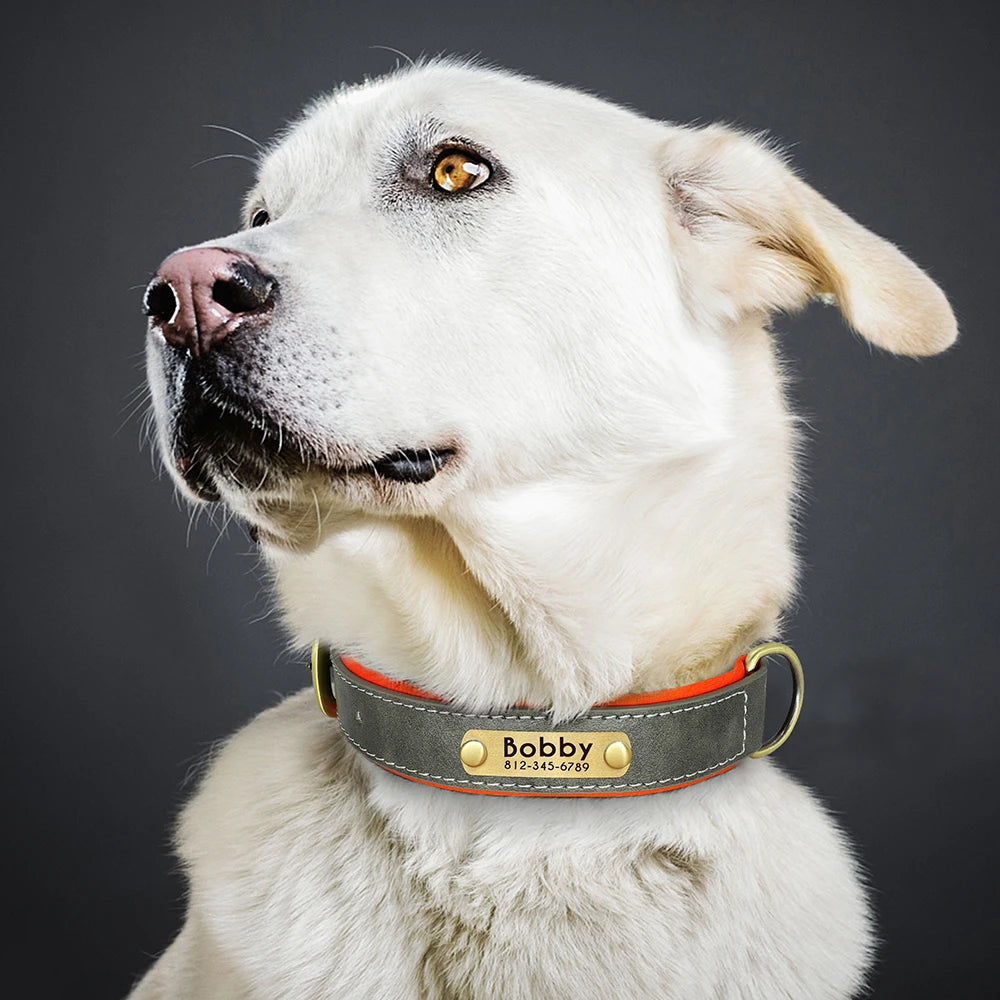 Customized PU Leather Nameplate Dog Collar